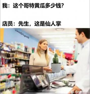 每日meme