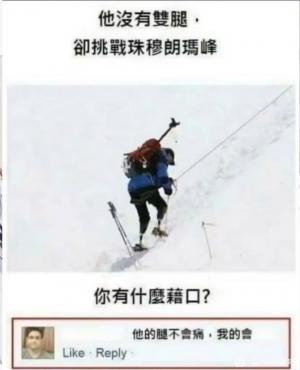 每日meme