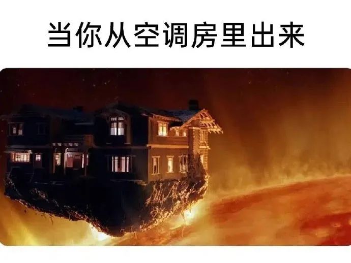 每日meme