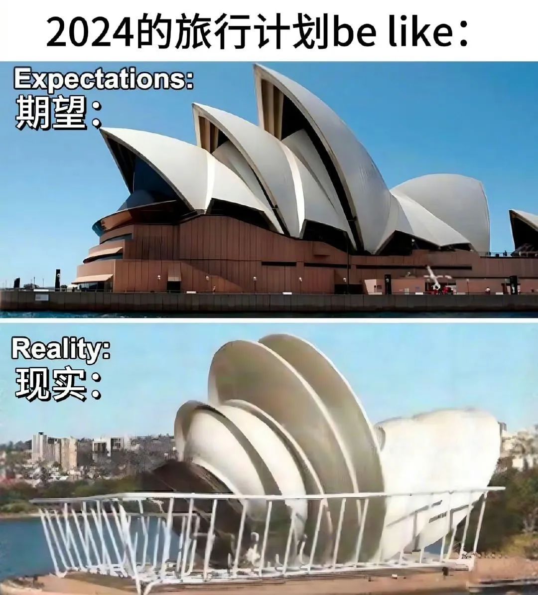每日meme