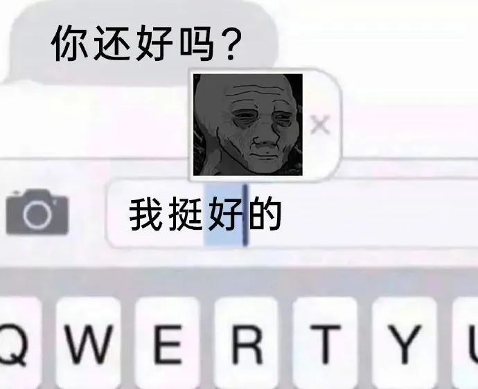 每日meme