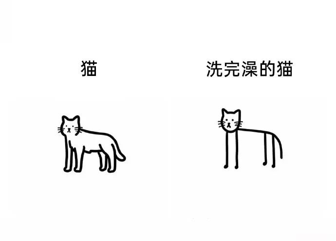 每日meme