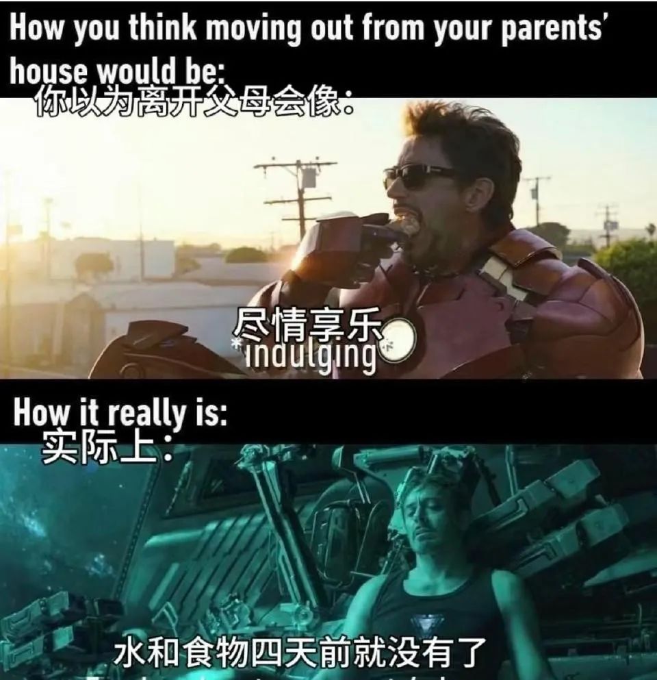 每日meme