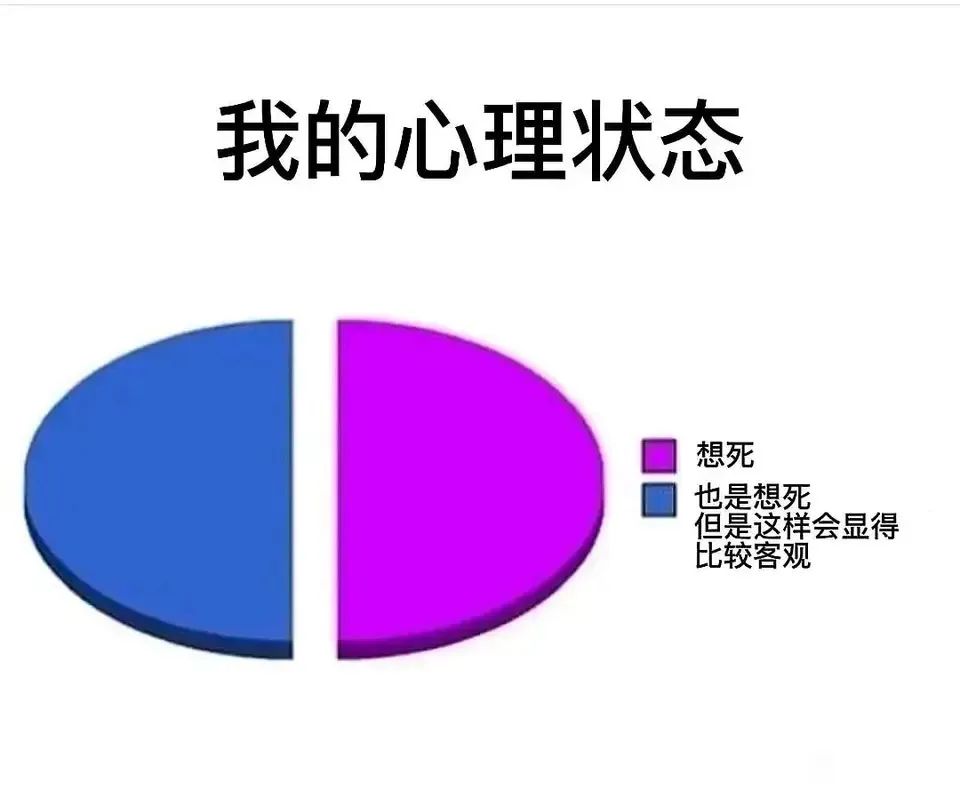 每日meme
