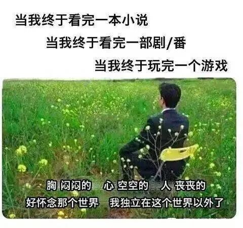 每日meme