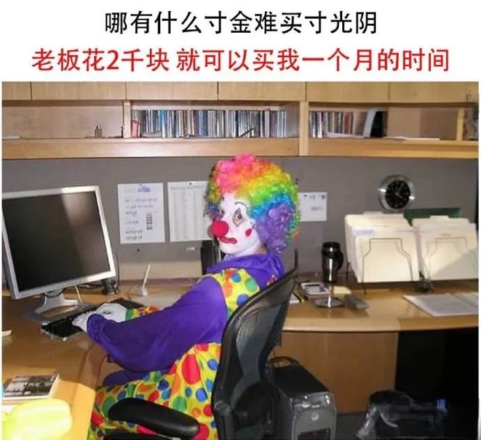 每日meme