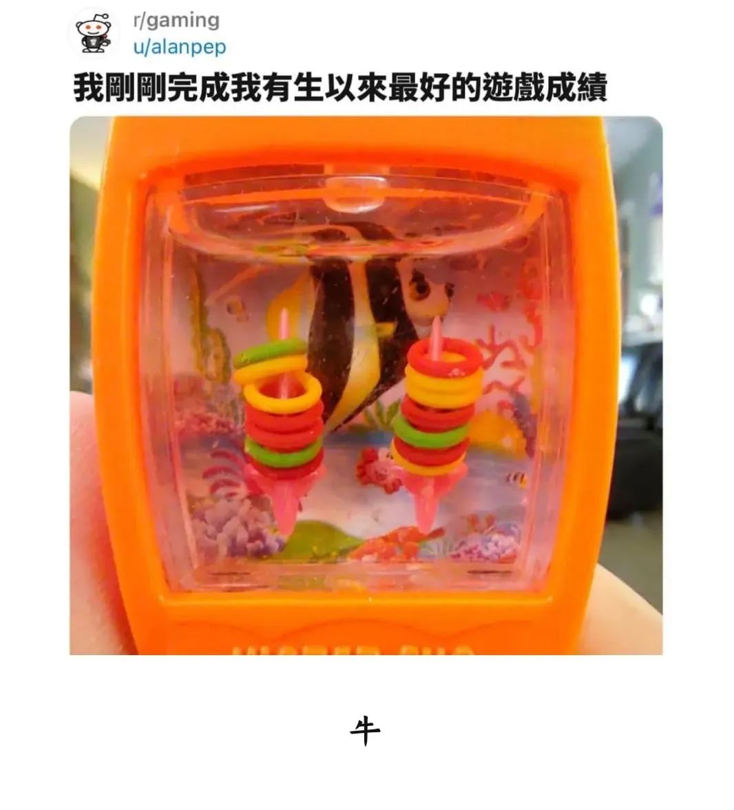 每日meme