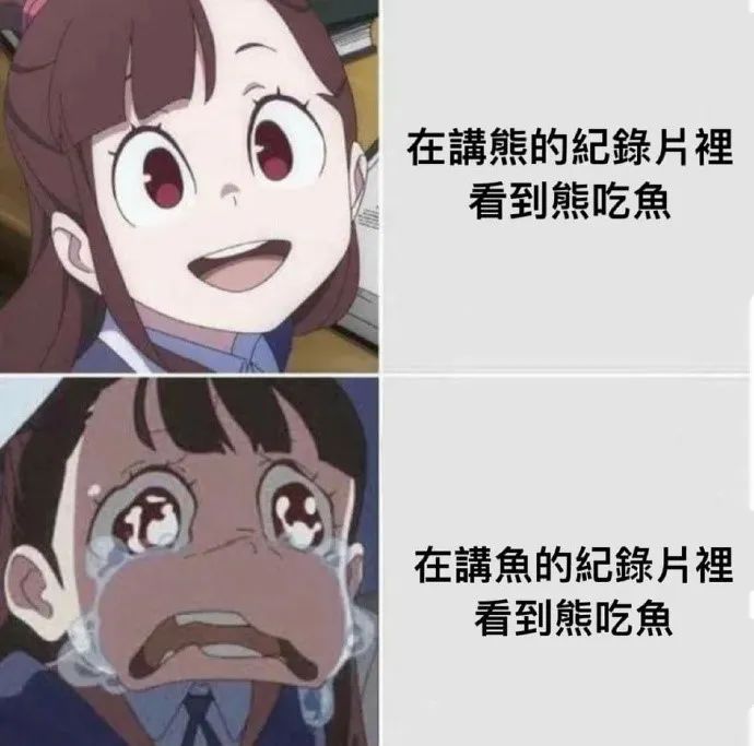 每日meme