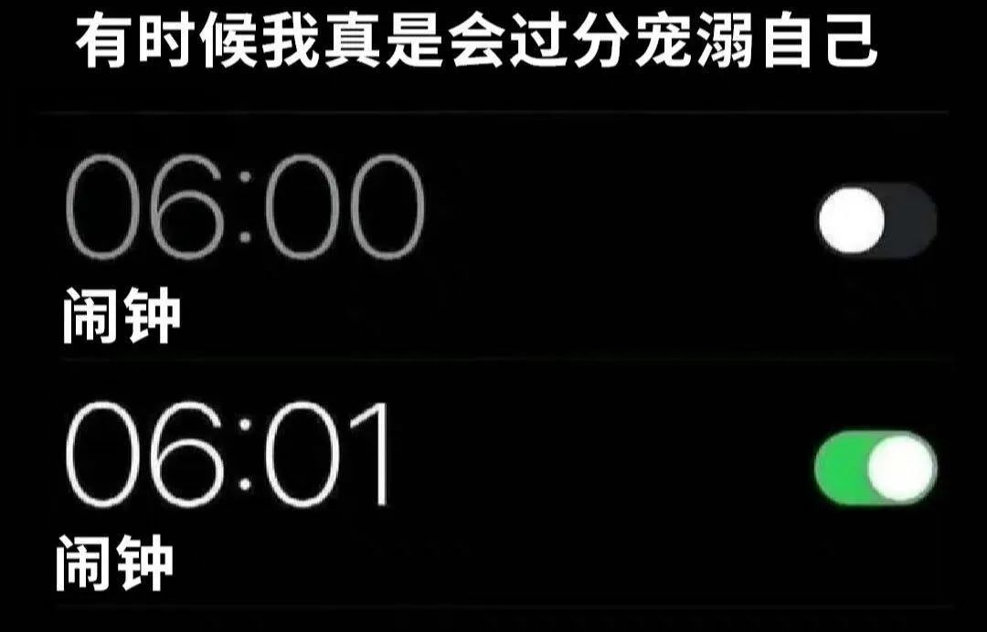 每日meme
