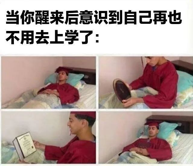 每日meme