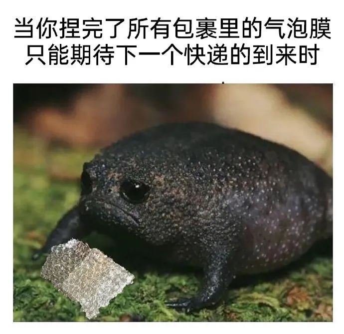 每日meme