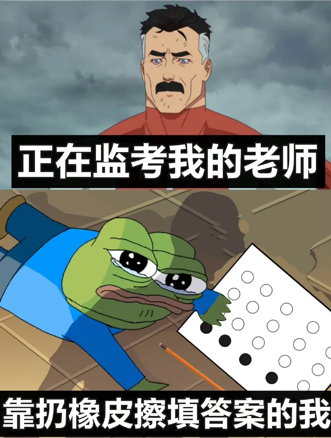 每日meme