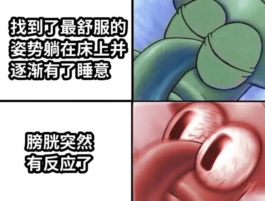 每日meme