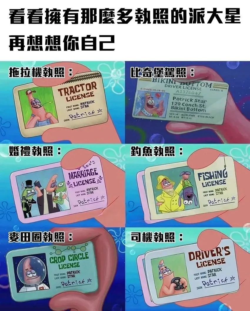 每日meme