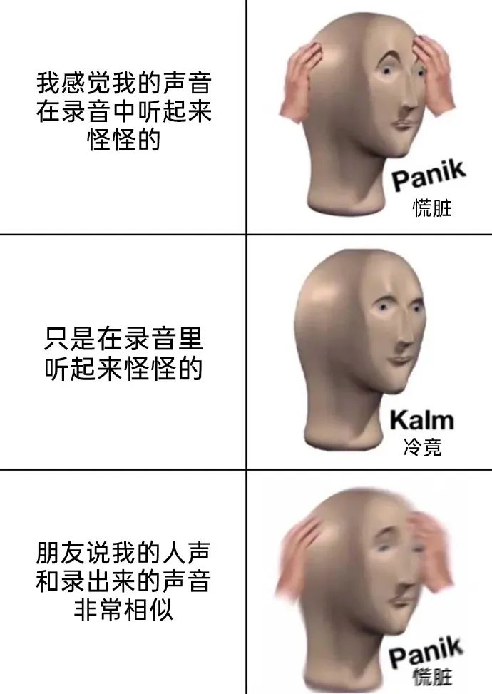 每日meme