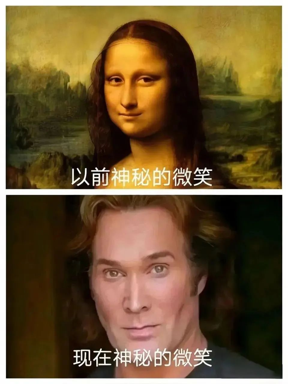 每日meme