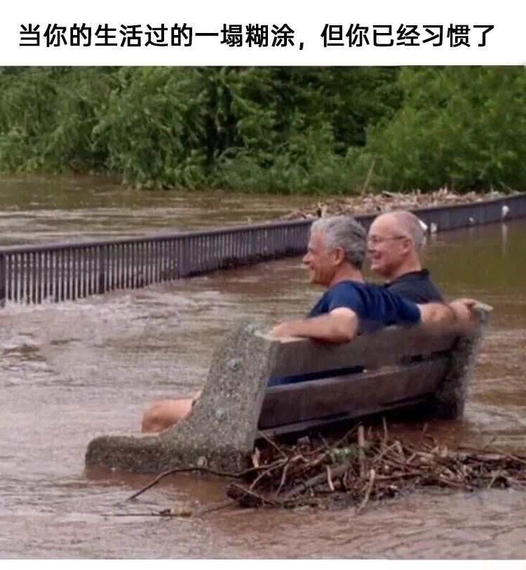 每日meme