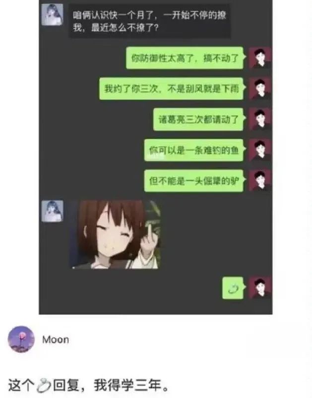 每日meme