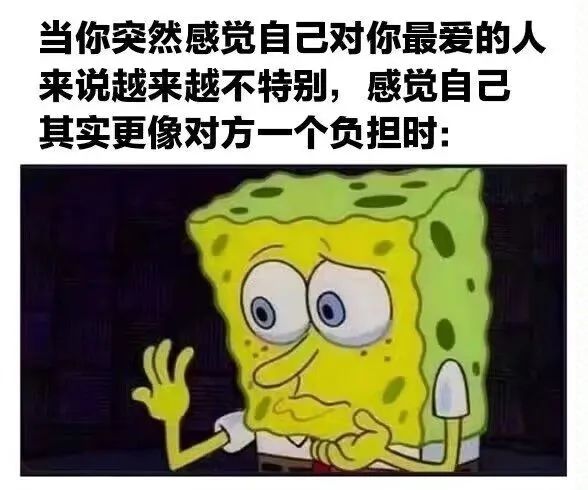 每日meme