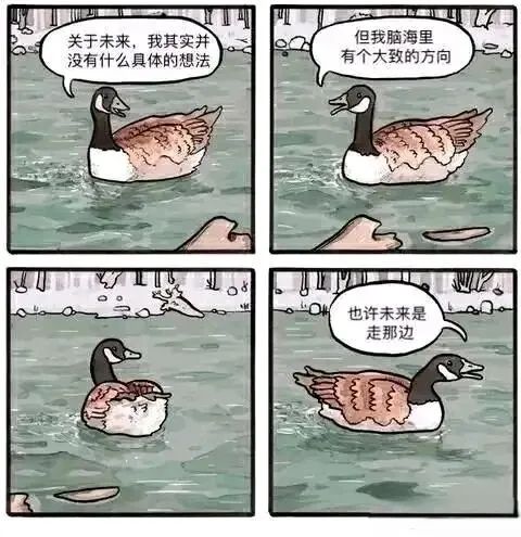 每日meme