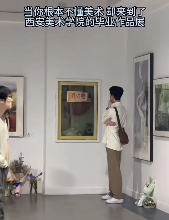 每日meme