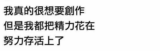每日meme