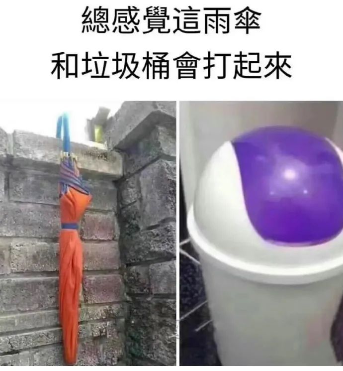 每日meme