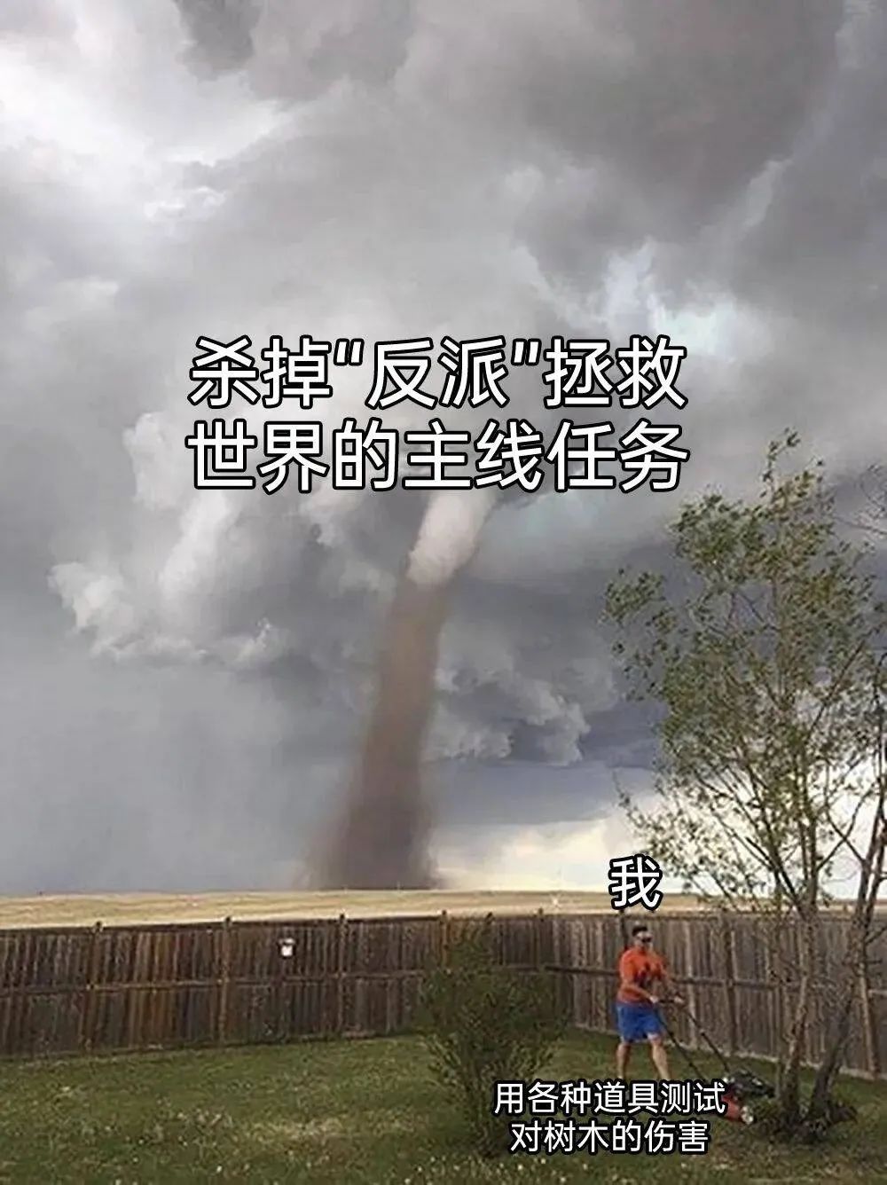 每日meme