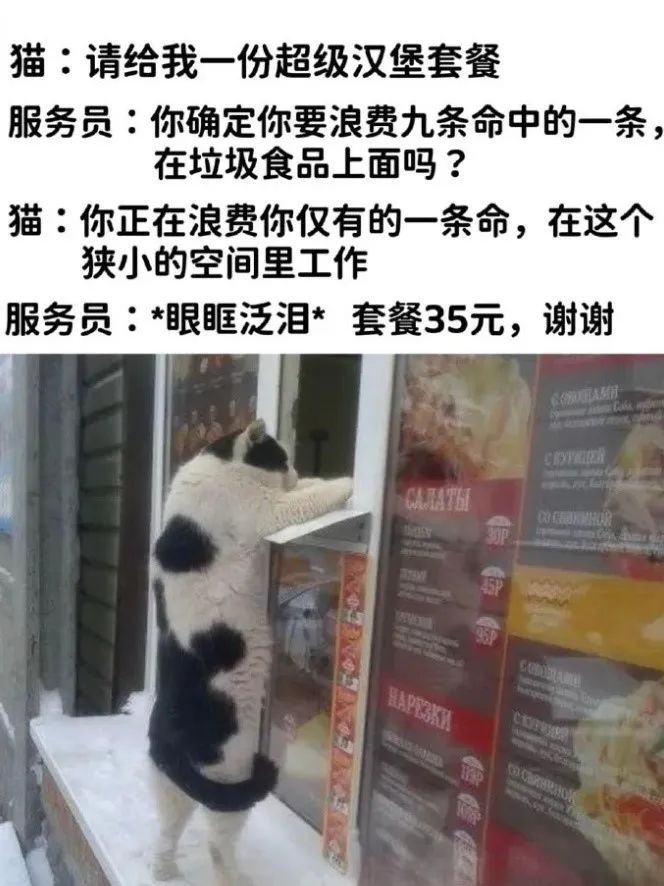 每日meme
