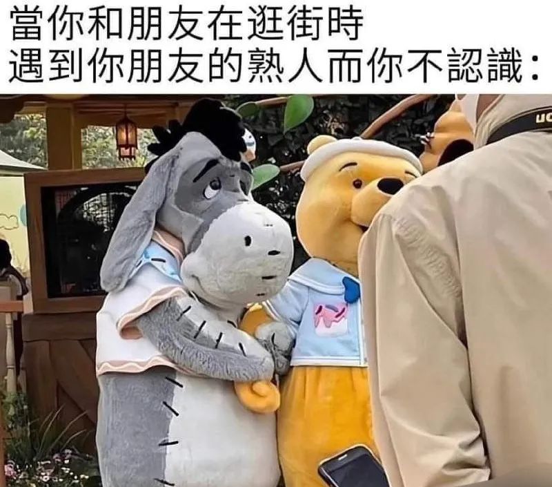 每日meme