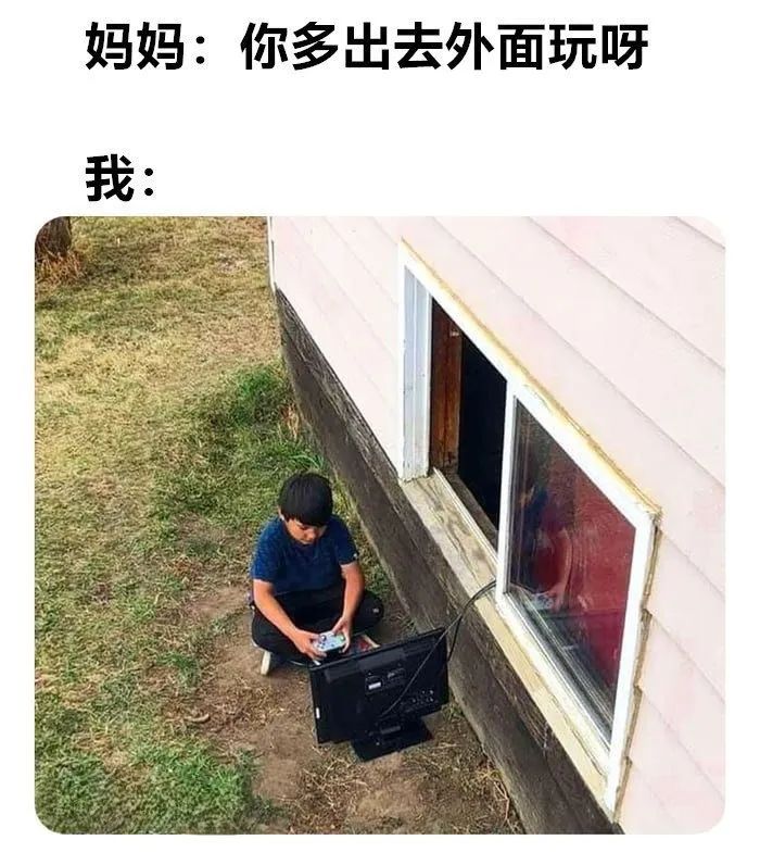 每日meme