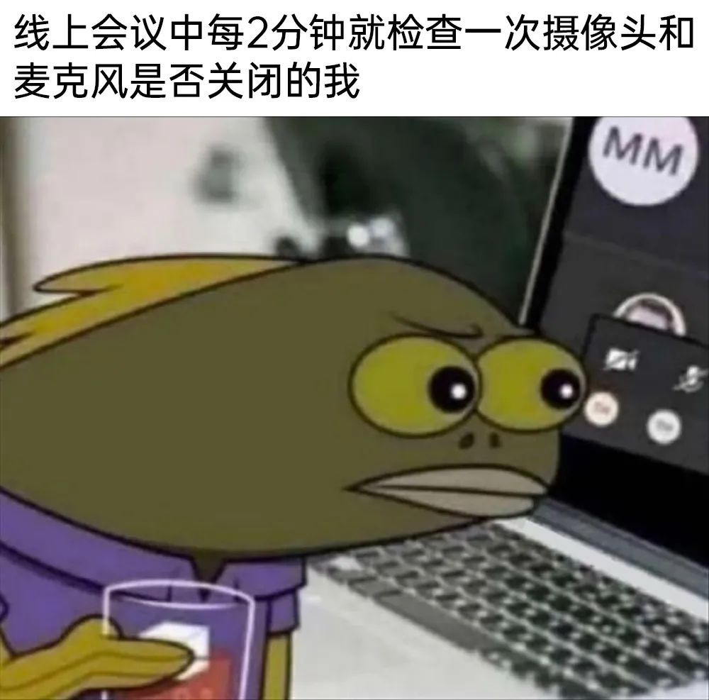 每日meme