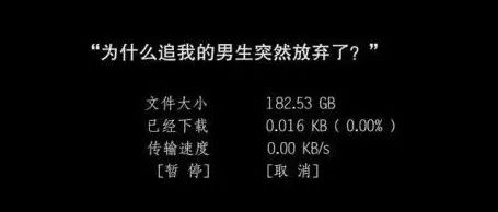 每日meme