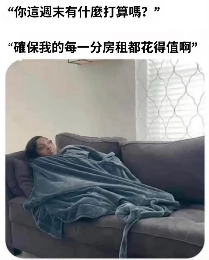 每日meme