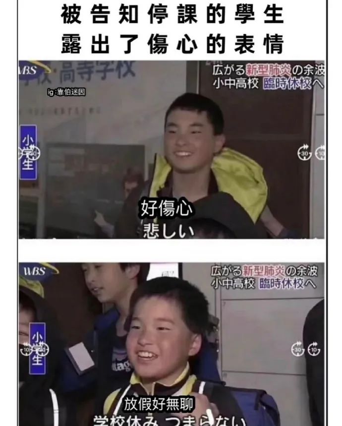 每日meme