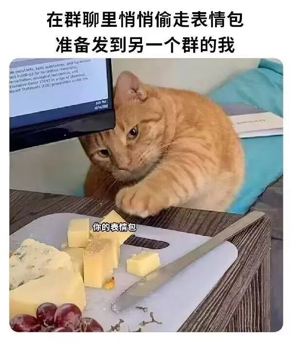 每日meme