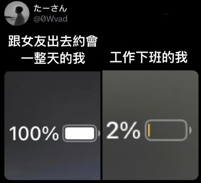 每日meme