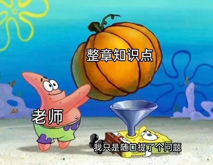 每日meme