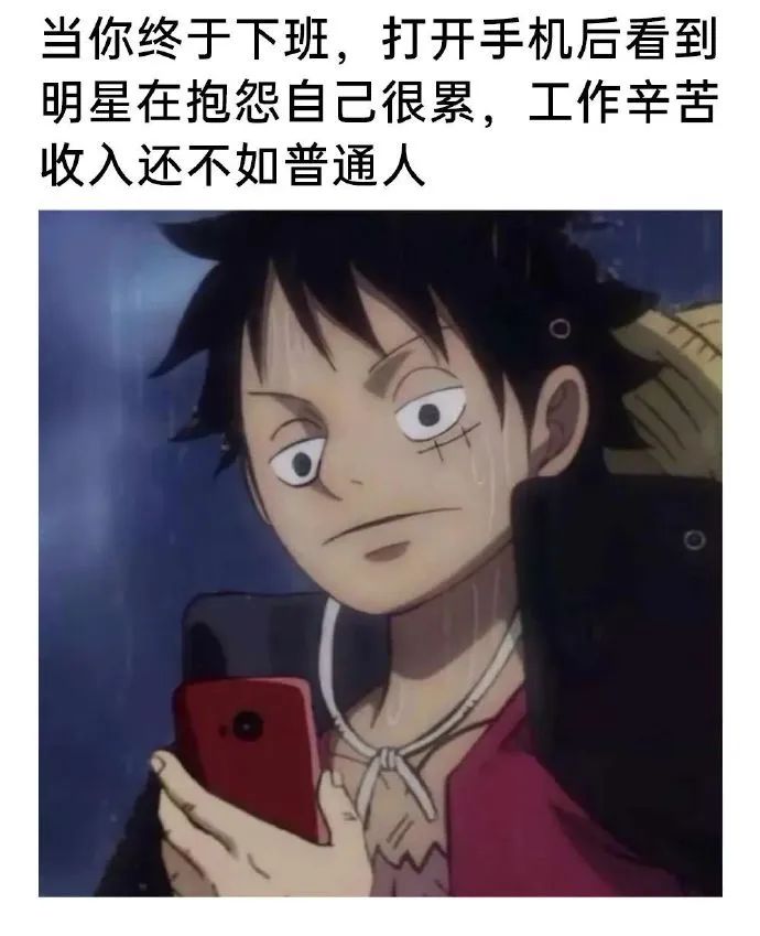 每日meme