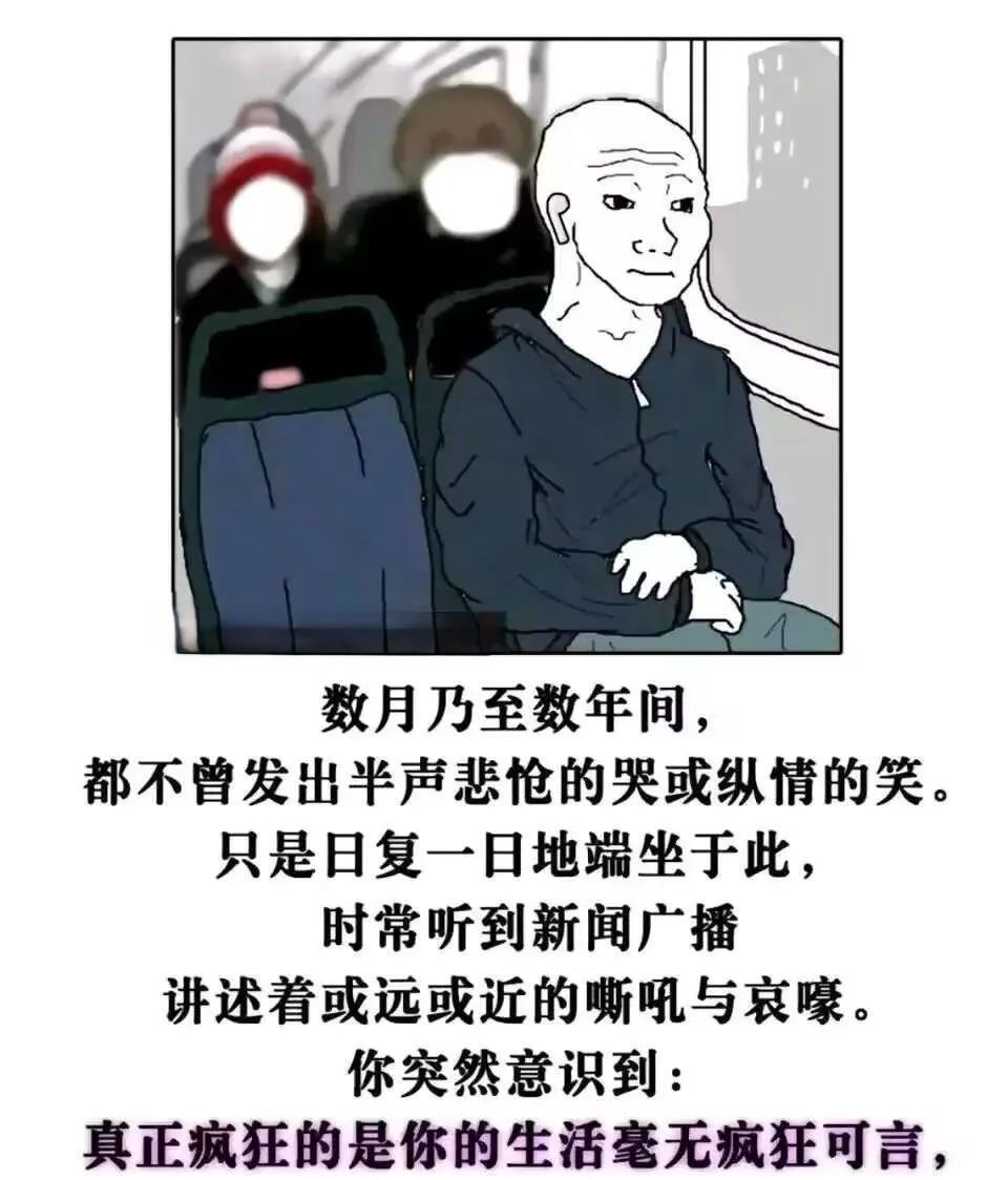 每日meme