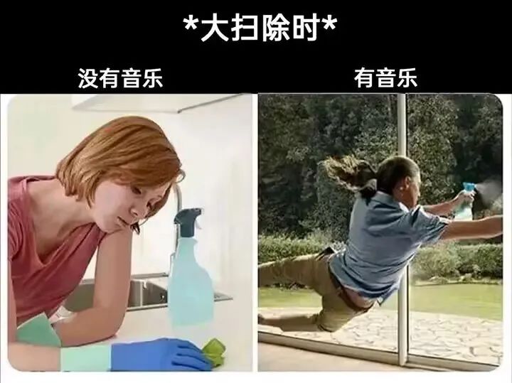每日meme