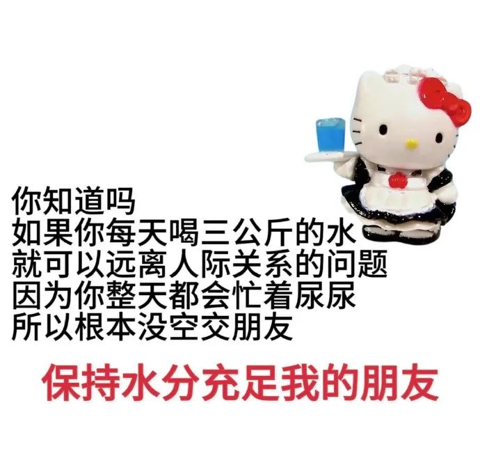 每日meme