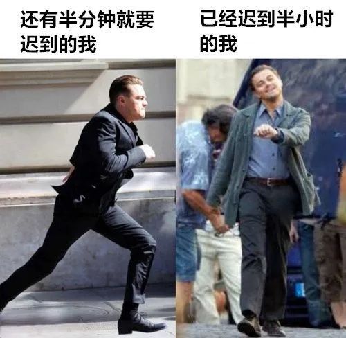 每日meme