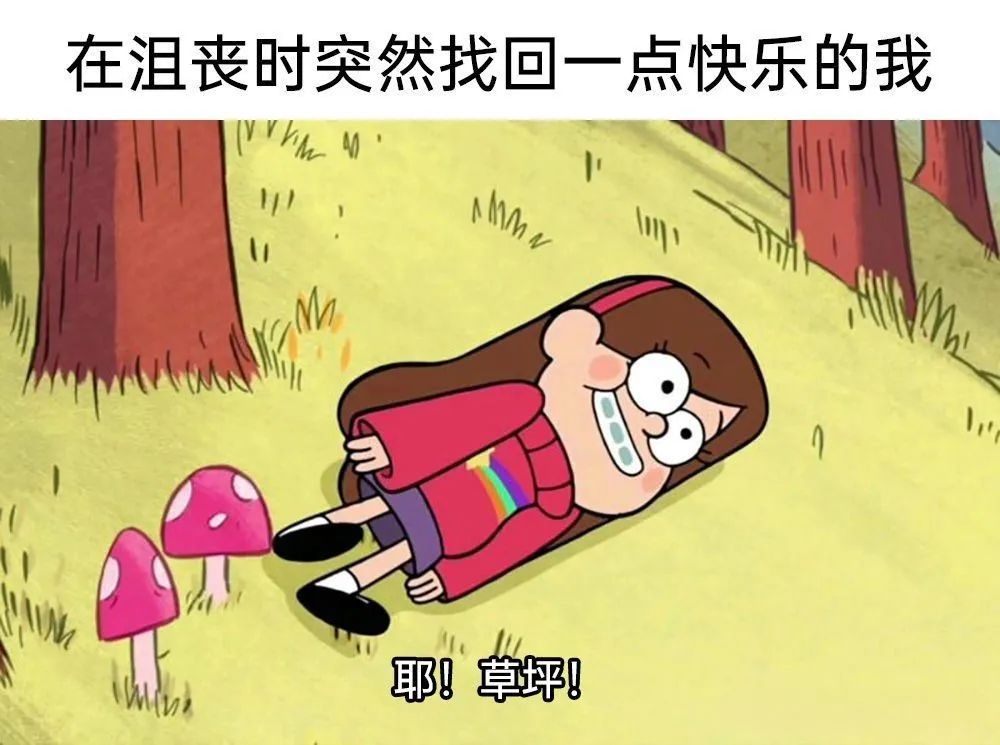 每日meme