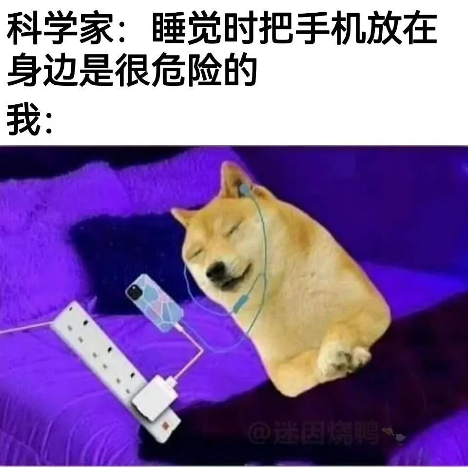 每日meme