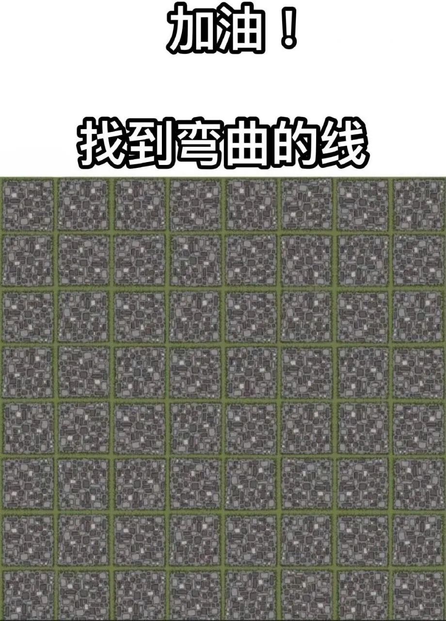 每日meme
