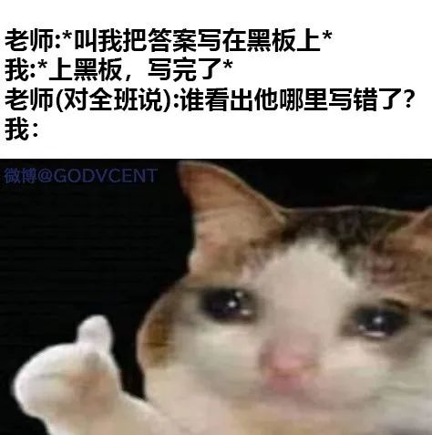 每日meme