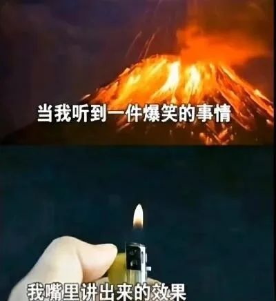 每日meme