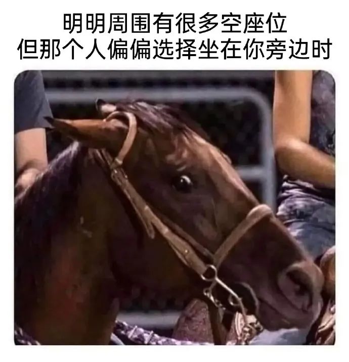 每日meme