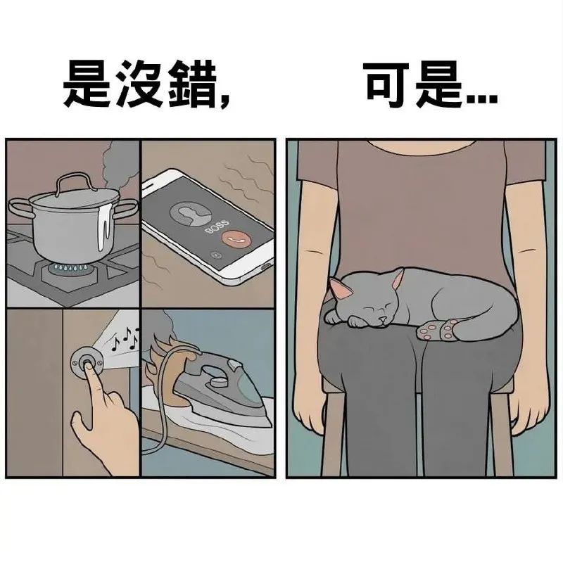 每日meme